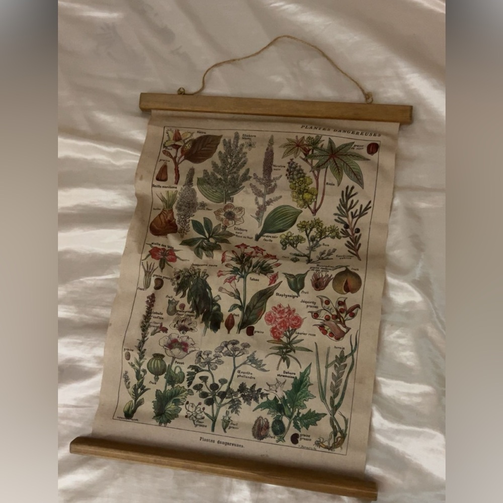 Vintage Botanical Wall Art with Wooden Frame